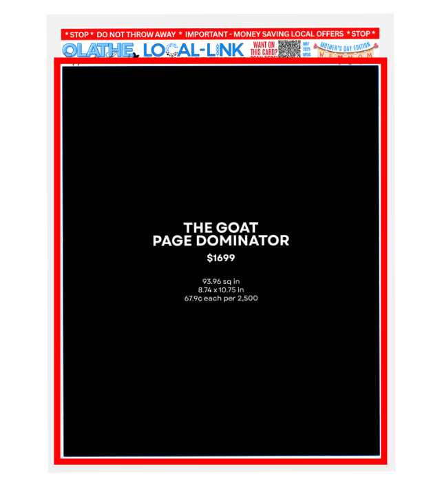 Skinny Ad Size Preview